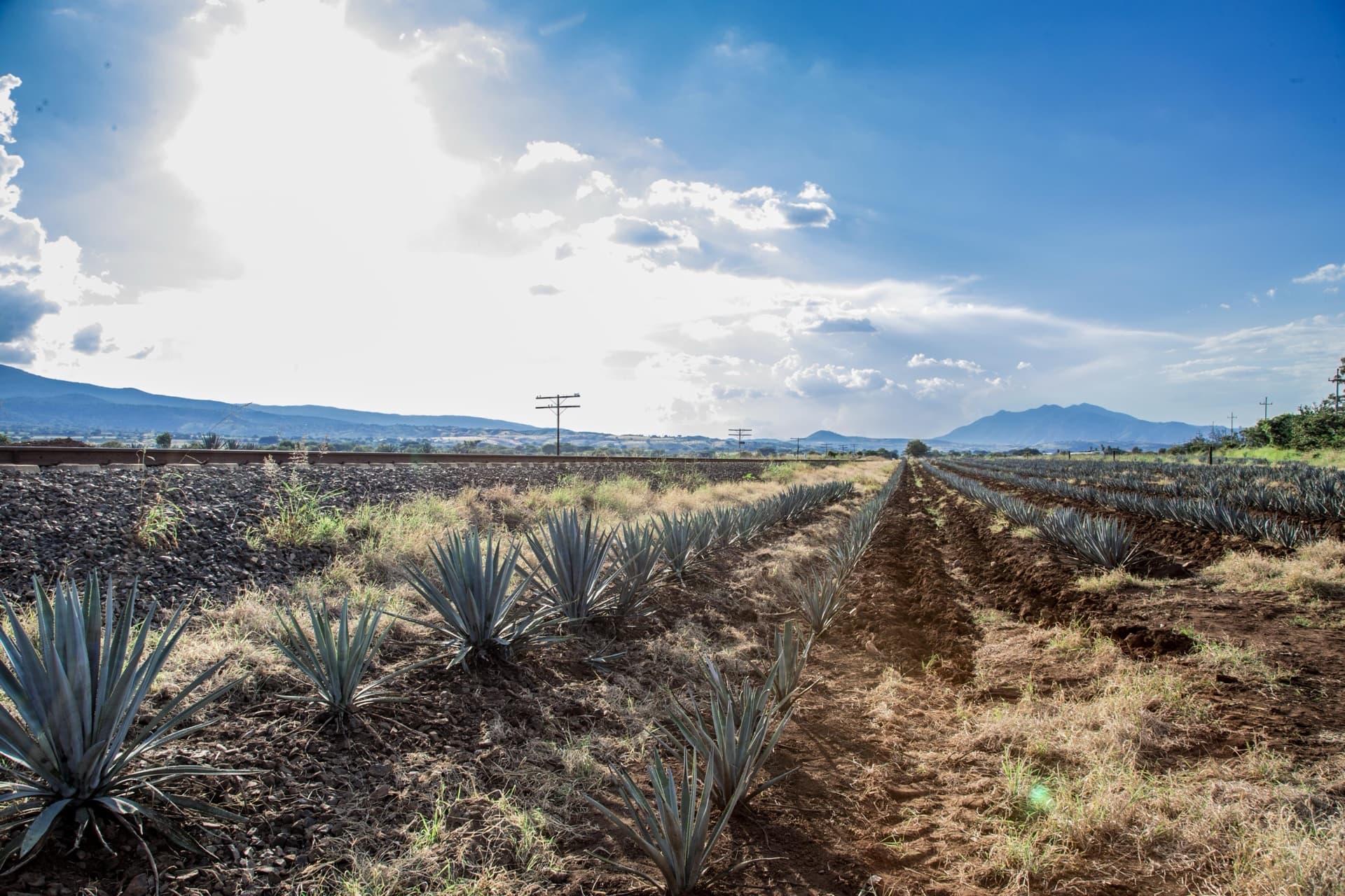 Fotografía 28 — Andrea Capitanacci