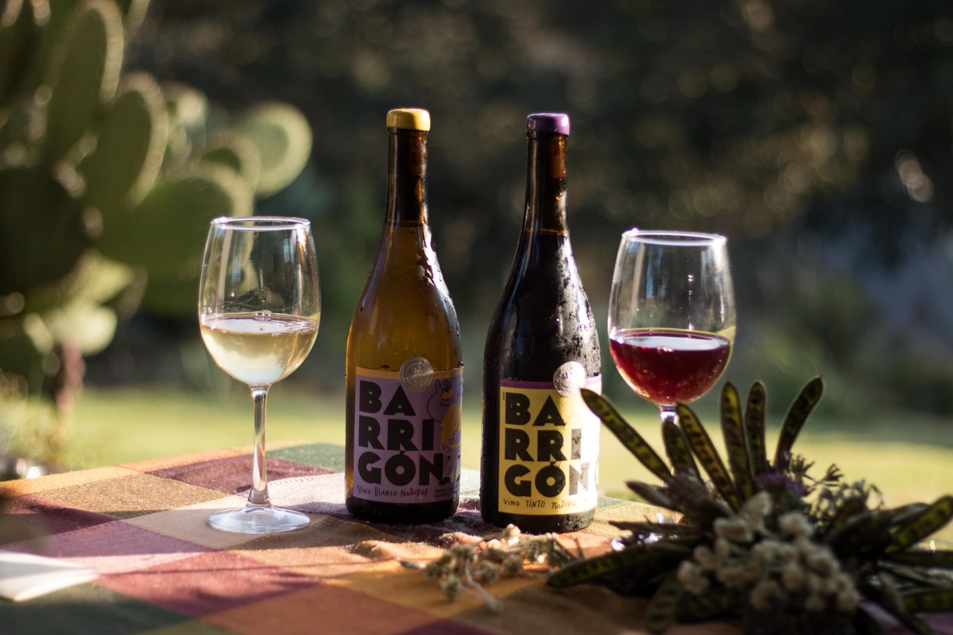 Fotografía 5 — Andrea Capitanacci