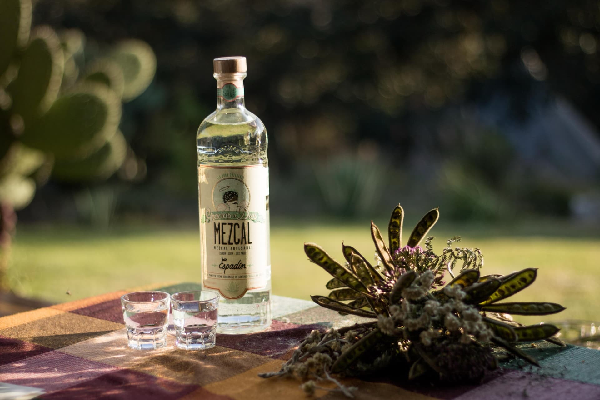 Fotografía 12 — Andrea Capitanacci